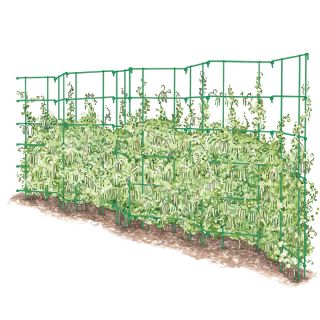 Expandable Pea Fence Thumbnail